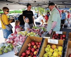 Harvest Market