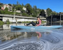 Kayaking Tours on Launceston's Waterfront